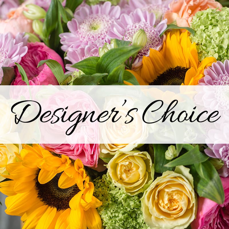 Designer's Choice